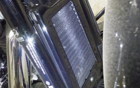 HARLEY FLSL 1750 2020