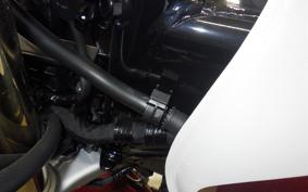 HONDA CB1300SB SUPER BOLDOR SP 2025 SC54