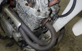 HONDA XLR250R Gen.4 2021 MD22