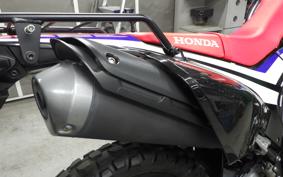 HONDA CRF250 RALLY LDA 2025 MD44