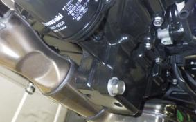 KAWASAKI Z900RS CAFE 2024 ZR900K