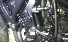 HARLEY X500 2024