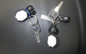 OTHER CAN-AMﾗｲｶｰ900 RALLYED 2019