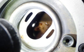 KAWASAKI NINJA 250R 2009 EX250K