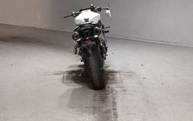 TRIUMPH SPEED TRIPLE RS 2019 TPN275