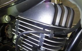 SUZUKI TS185 2024