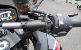 KAWASAKI NINJA 1000 SX 2022 ZXT02K