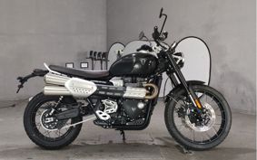 TRIUMPH SCRAMBLER 1200X DADR0H