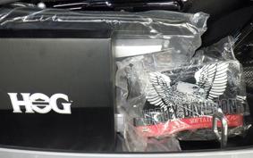 HARLEY FXLRST1920 2025