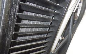 YAMAHA DT50 2025 17W