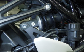 KAWASAKI Z900RS 2020 ZR900C