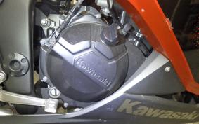 KAWASAKI NINJA 250 2022 EX250L