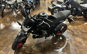 KAWASAKI Z125 PRO BR125H