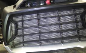 OTHER CAN-AMﾗｲｶｰ900 RALLYED 2019