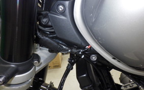 TRIUMPH SPEED TWIN 2025