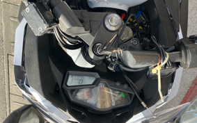KAWASAKI NINJA 250 EX250L
