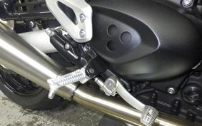 TRIUMPH SPEED TWIN 2023