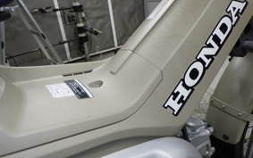 HONDA CT125 HUNTER CUB JA55