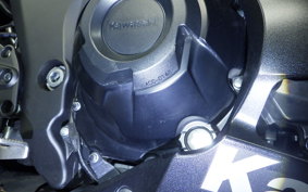 KAWASAKI NINJA 1000 A 2021 ZXT00W