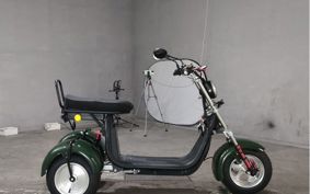 OTHER DENDOU TRIKE  ..