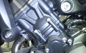 YAMAHA MT-09 ASP 2019 RN52J