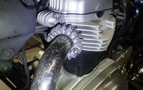 KAWASAKI W800 2021 EJ800B