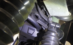 HONDA CT125 HUNTER CUB 2024 JA55