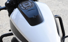 HARLEY Sprotster S ZC4