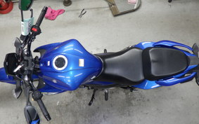 SUZUKI ｼﾞｸｻｰ250 ED22B