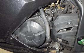 KAWASAKI NINJA 250 EX250L
