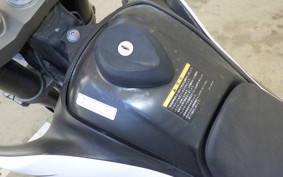 YAMAHA WR250X 2010 DG15J