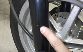 OTHER +UNREGISTERED MODEL by BDS125 2023