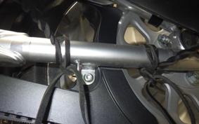 HARLEY FLSTFI1920 2025