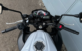 KAWASAKI Z250 ER250C