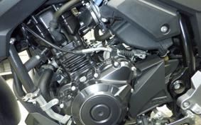 SUZUKI Vｽﾄﾛｰﾑ250