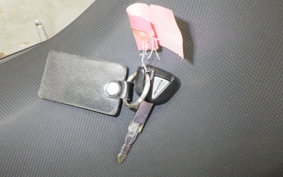 KAWASAKI Z250 Gen.2 2021 EX250P