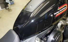HARLEY RH975S 2024