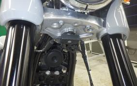 HARLEY FLSB 1750 2025