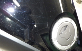 HONDA NM4 VULTUS -02 2014 RC82