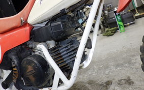 HONDA QR50 2023 AE01