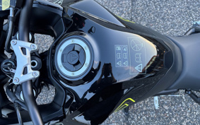 TRIUMPH TIGER 800 2026 L25P10