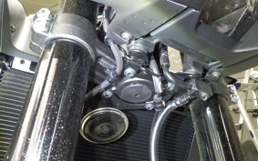 KAWASAKI Z900 Gen.2 2025 ZR900S