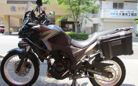 KAWASAKI VERSYS-X 250 ABS TOURER LE250D