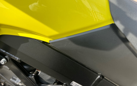 SUZUKI DL650 ( V-Strom 650 ) 2020 C733A