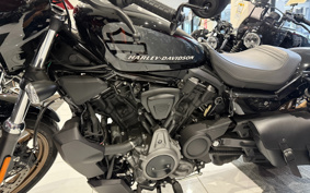 HARLEY  HARLEY RH975 NIGHT  STAR  2022 ZH1
