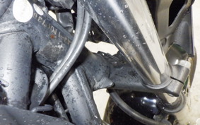 HONDA CB250F 2021 MC43