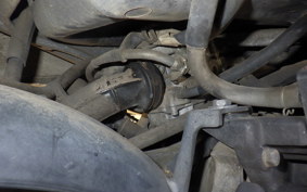 HONDA CREA SCOOPY AF55