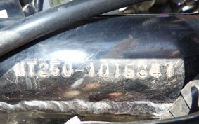 HONDA ELSINORE 250 MT250