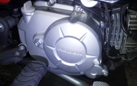 HONDA CROSS CUB 50 2006 AA06