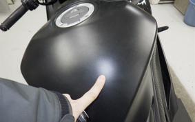 YAMAHA YZF-R25 A RG74J